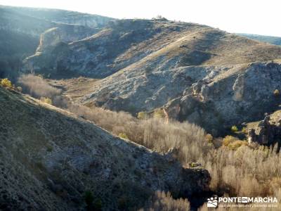 Parque Natural del Barranco Río Dulce;senderismo sevilla rutas senderismo zaragoza